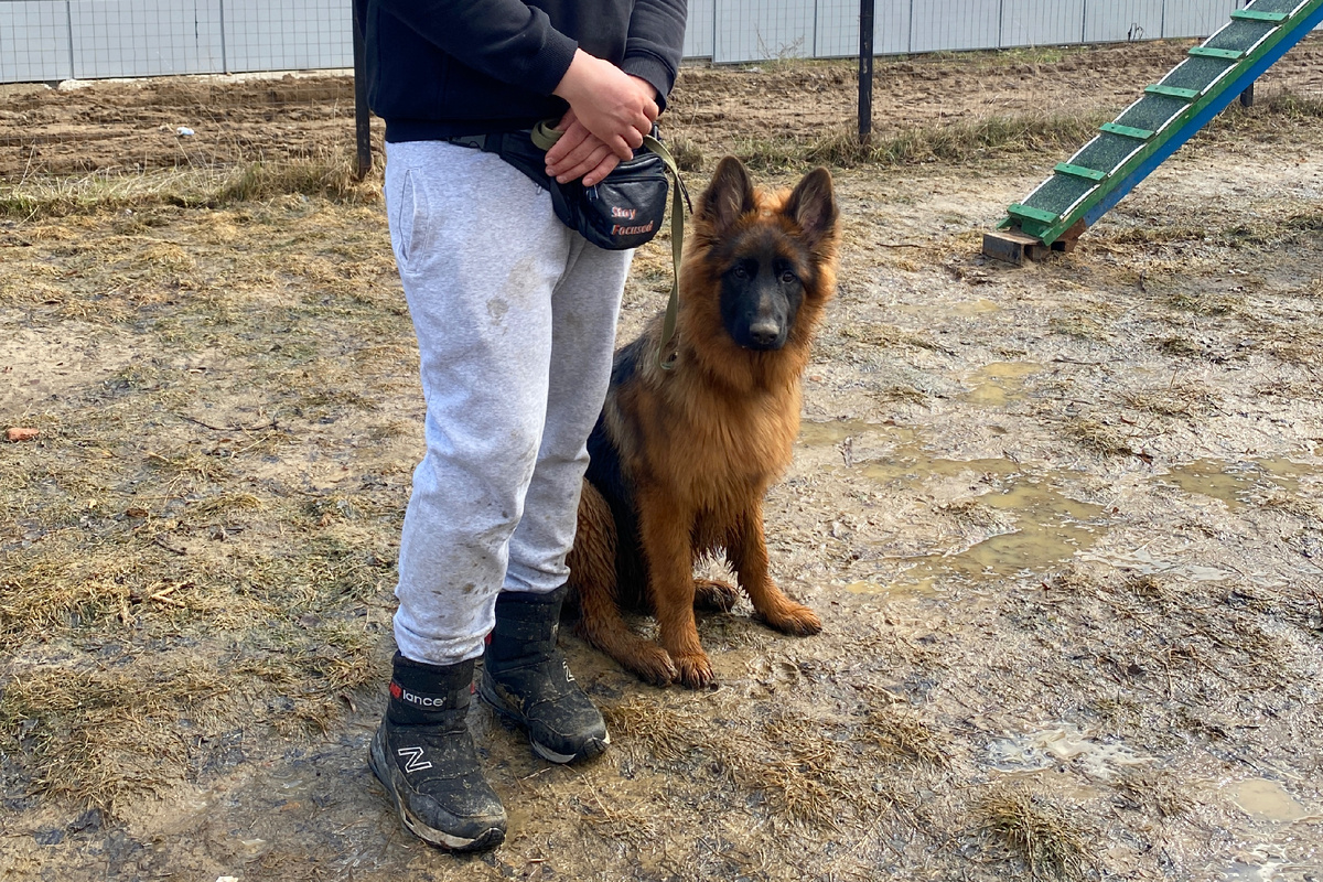Архивное фото. Локи на тренировке в СДЦ 