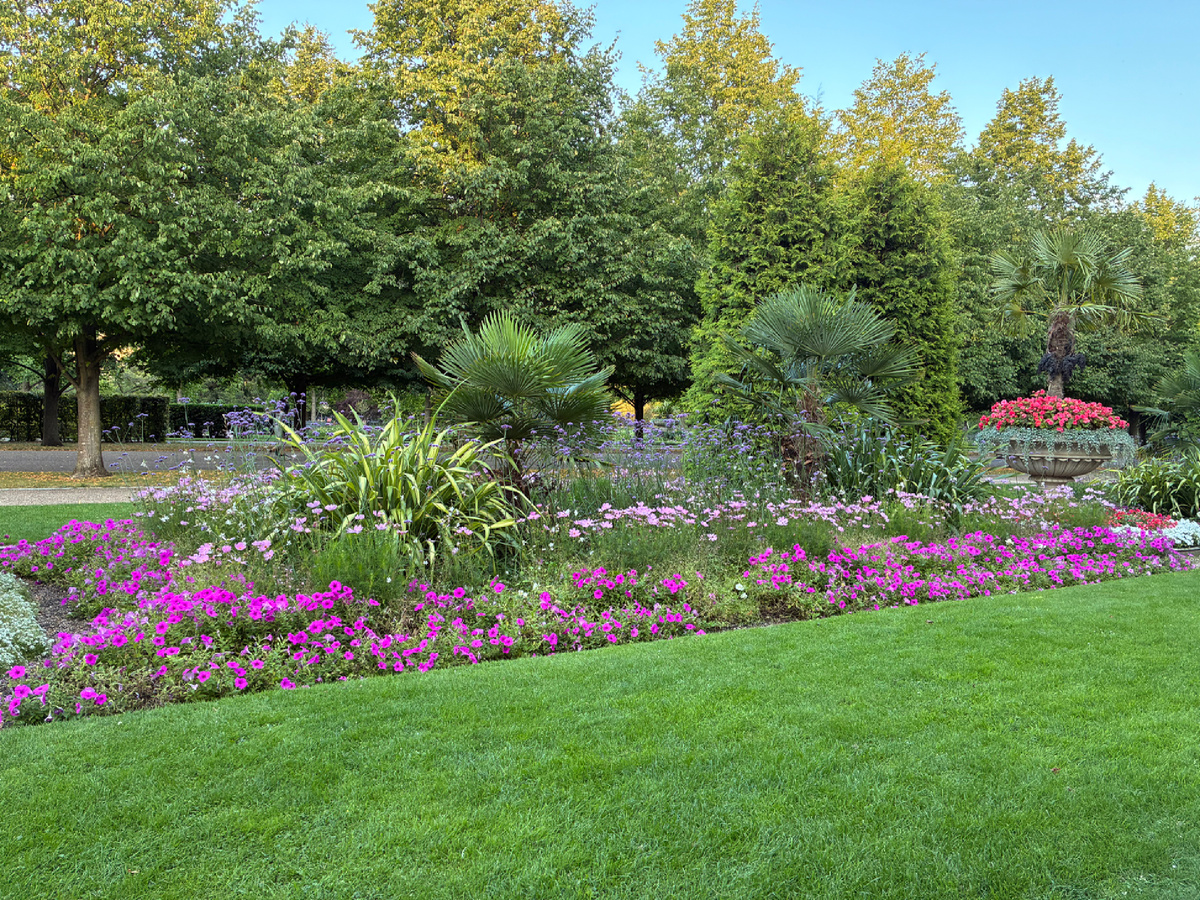 Риджентс-парк. Фото из личного архива