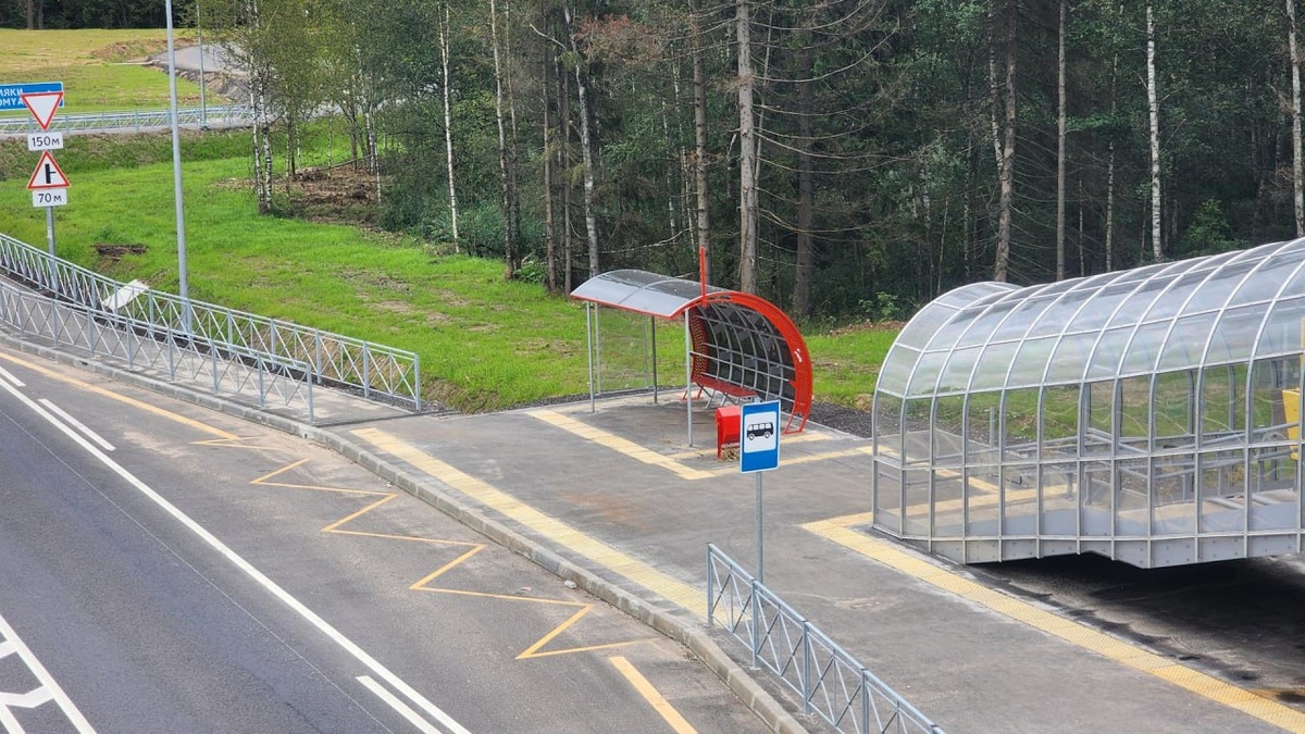    Фото: Александр Горбылев, Источник: t.me/alexander_gorbylev_ruza