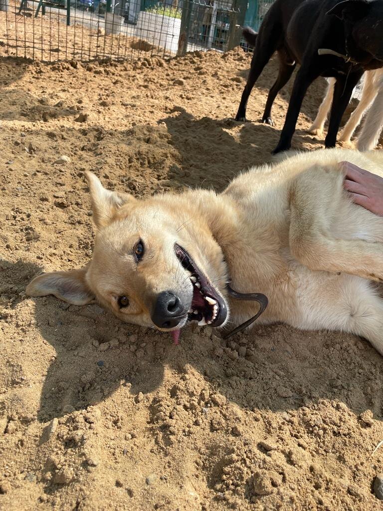 Сколько чувства и души в этой искренней улыбке!