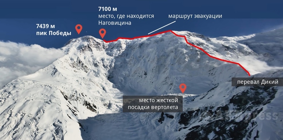 Источник https://avatars.dzeninfra.ru/get-zen_doc/271828/pub_68ac68a7568a91130dc35218_68ac69093c66fa10b1bec874/scale_1200