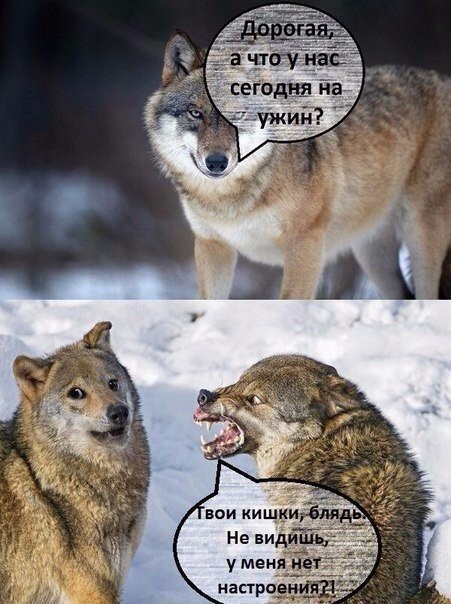 Источник: соцсети