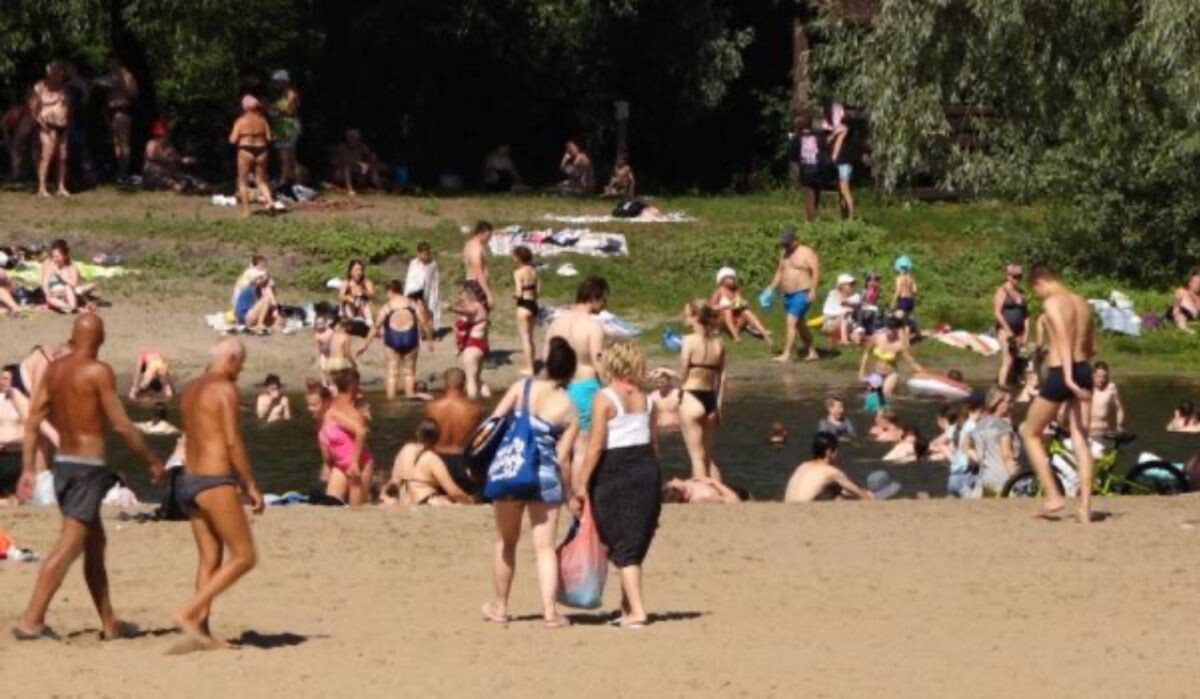     Пляж у санатория Горького в Воронеже. Источник: vestivrn.ru Автор фото: ВГТРК "Вести-Воронеж"