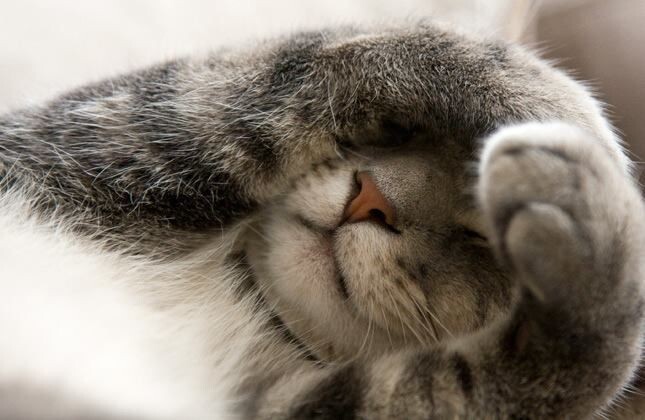 Фото из Интернета.