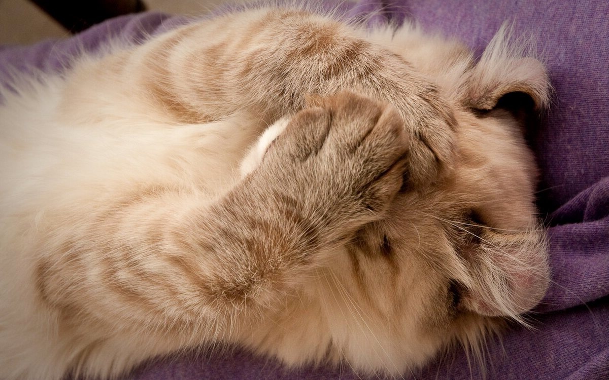 Фото из Интернета.