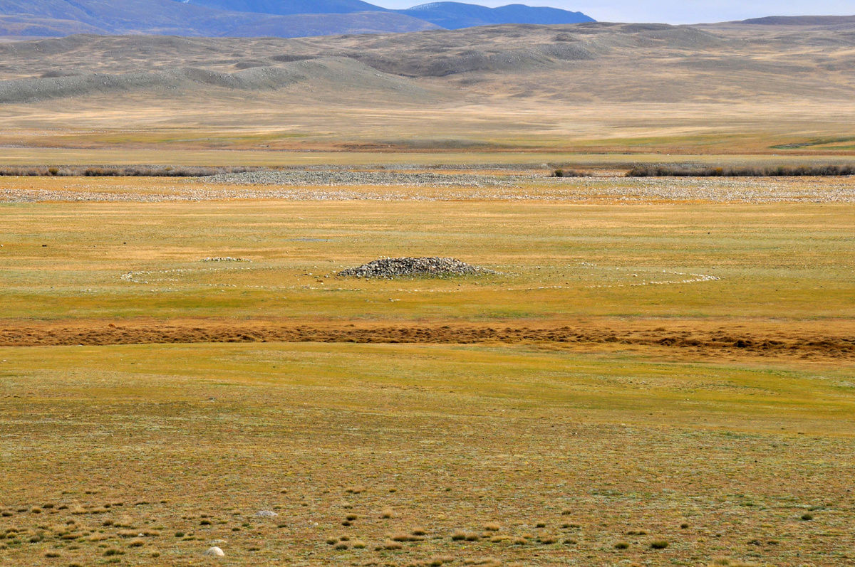 Фото Ольга Шадрина