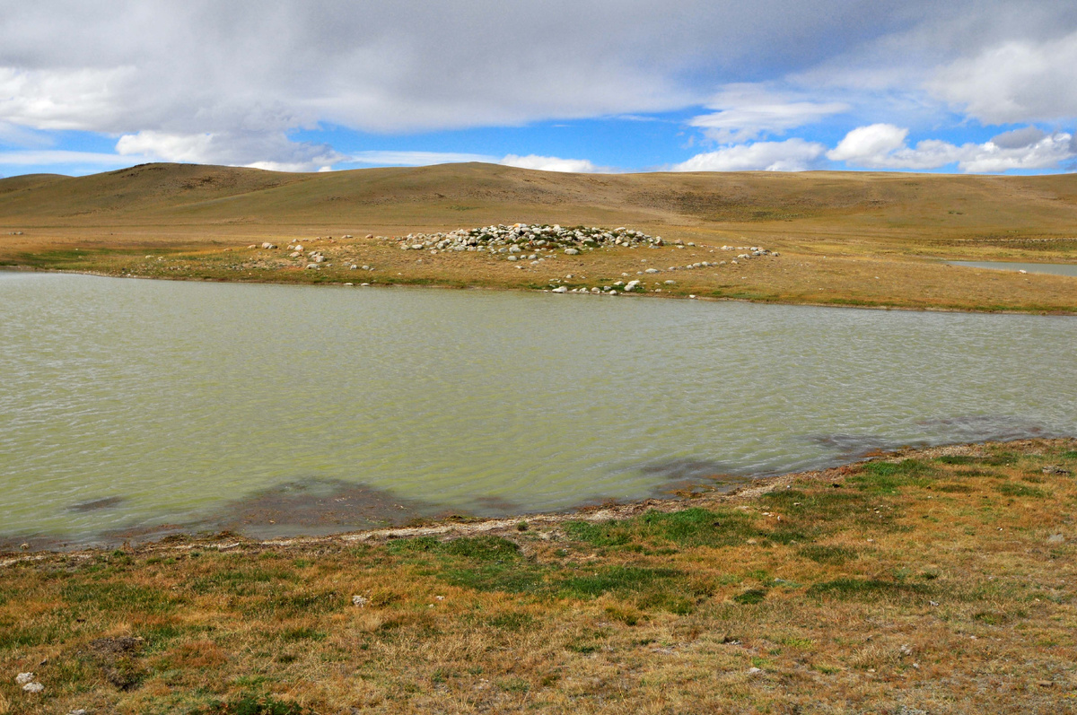 Фото Ольга Шадрина