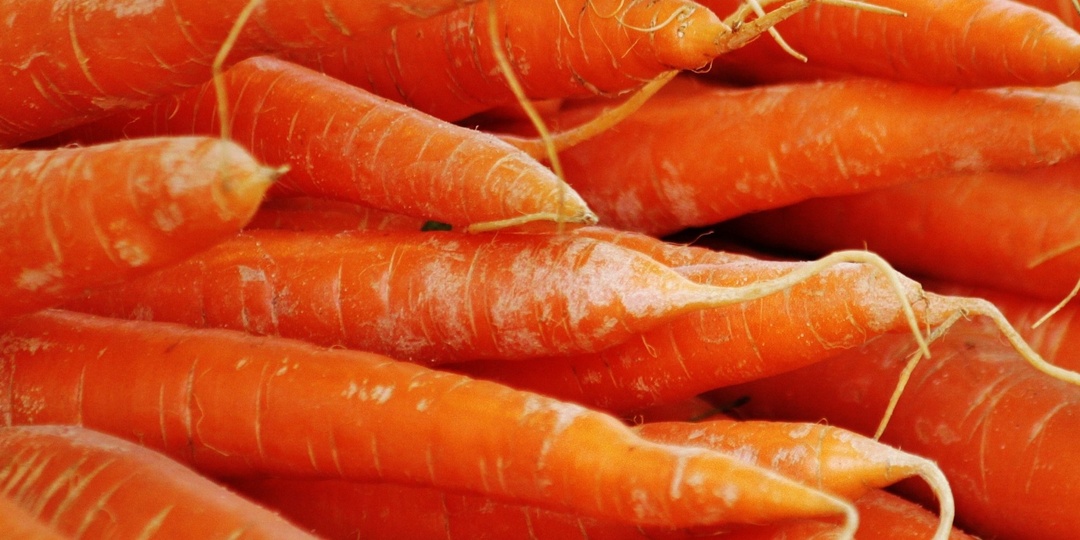 Убивают рак и чистят тело изнутри: врач назвала три обычных продукта для здоровья