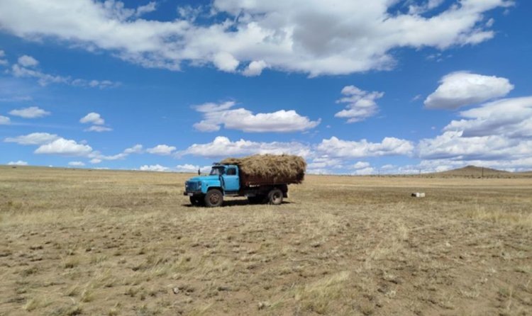    Фото: Минсельхоз Республики Тыва