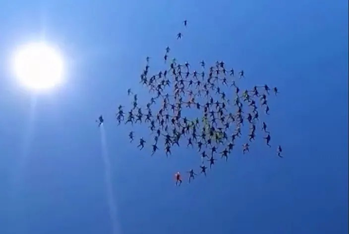 Обложка © кадр видео
