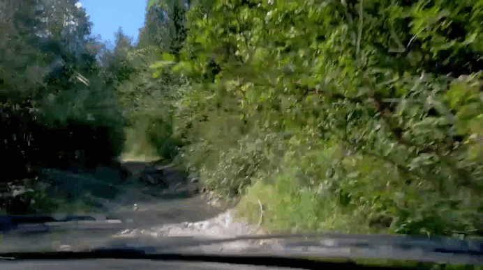 Видео с пассажирского сидения