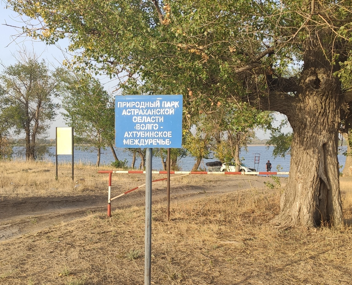 Нас встречает парк