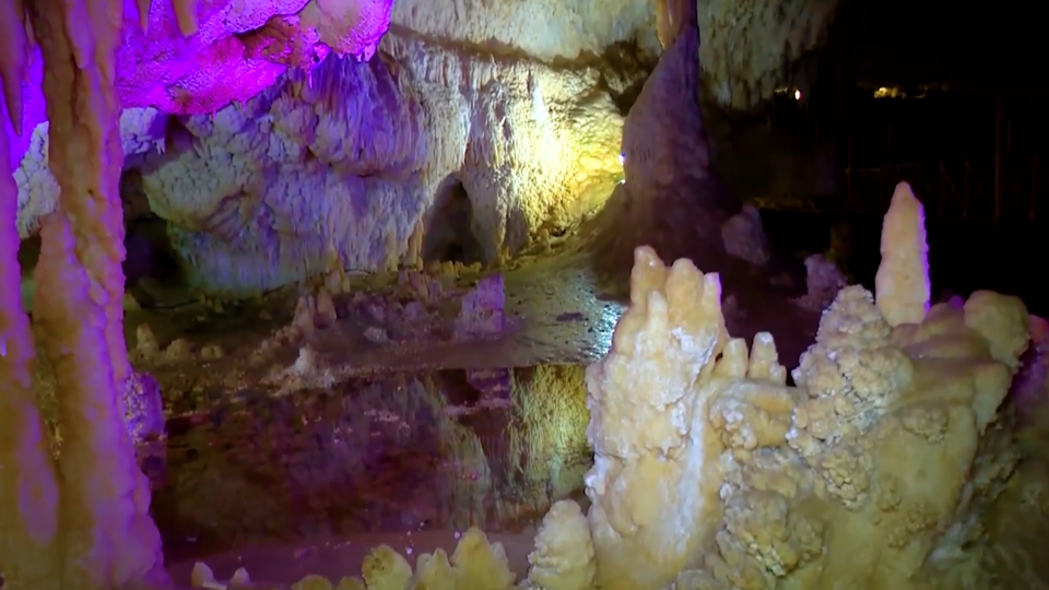 Фото: © Кадр из программы "Невероятно интересные истории", РЕН ТВ