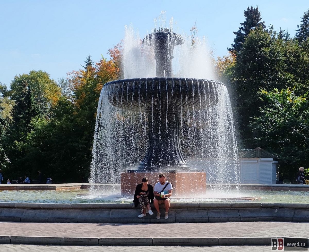     Фото: Владислав Постников / Вечерние Ведомости