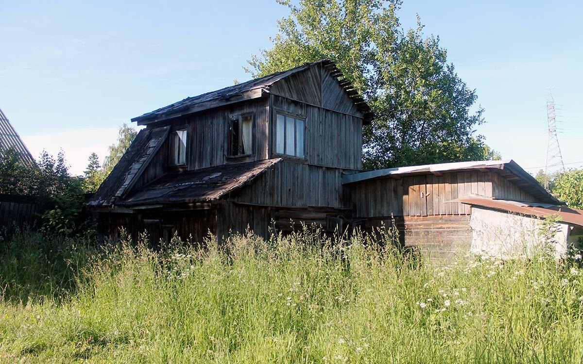 У россиян начнут изымать участки за сорняки и мусор