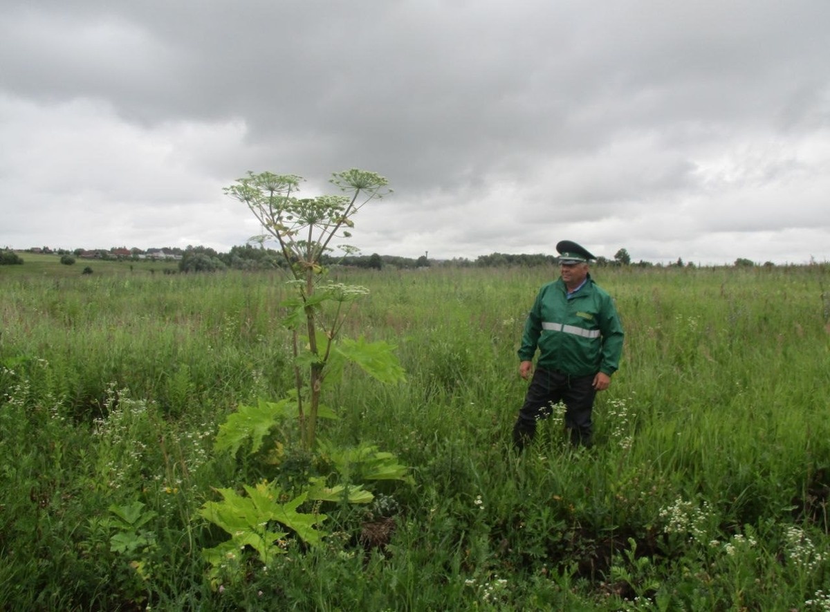 Росреестр будет забирать земельные участки