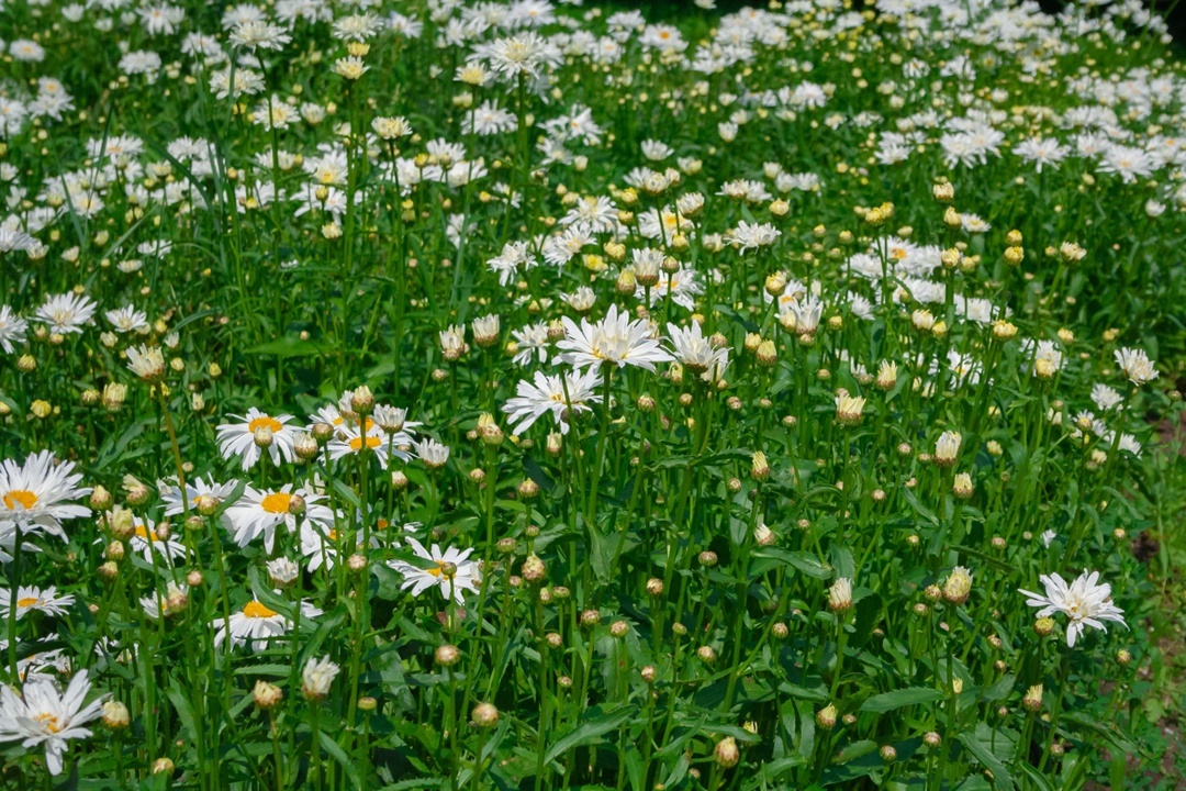 Создать карусель