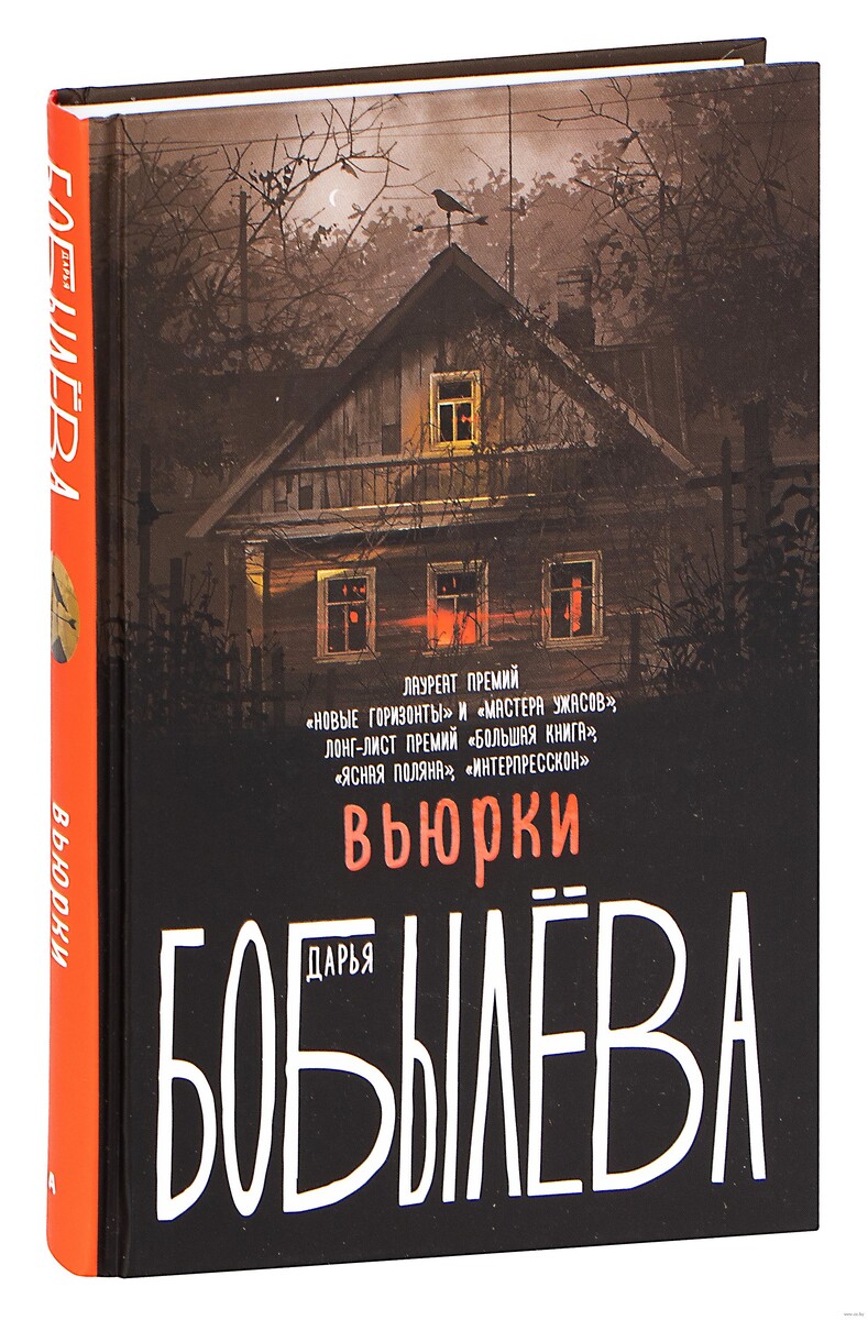 обложка книги «Вьюрки» Дарьи Бобылёвой — мрачная, с легкой тревожной атмосферой, словно предвещающая тайну, спрятанную за плотными стенами дачных участков.