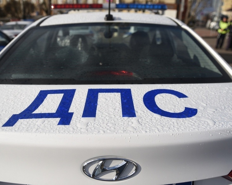     В Курске полиция провела спектакль для детей в рамках акции «Помоги пойти учиться»