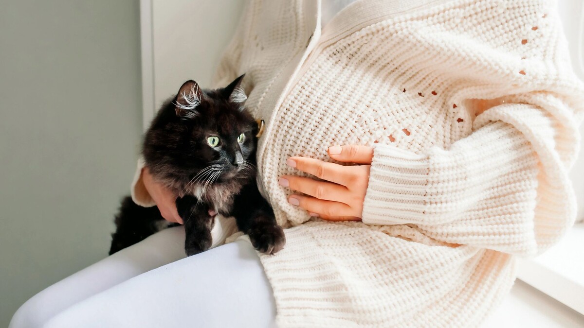    Фото: v-svirido/Shutterstock/Fotodom