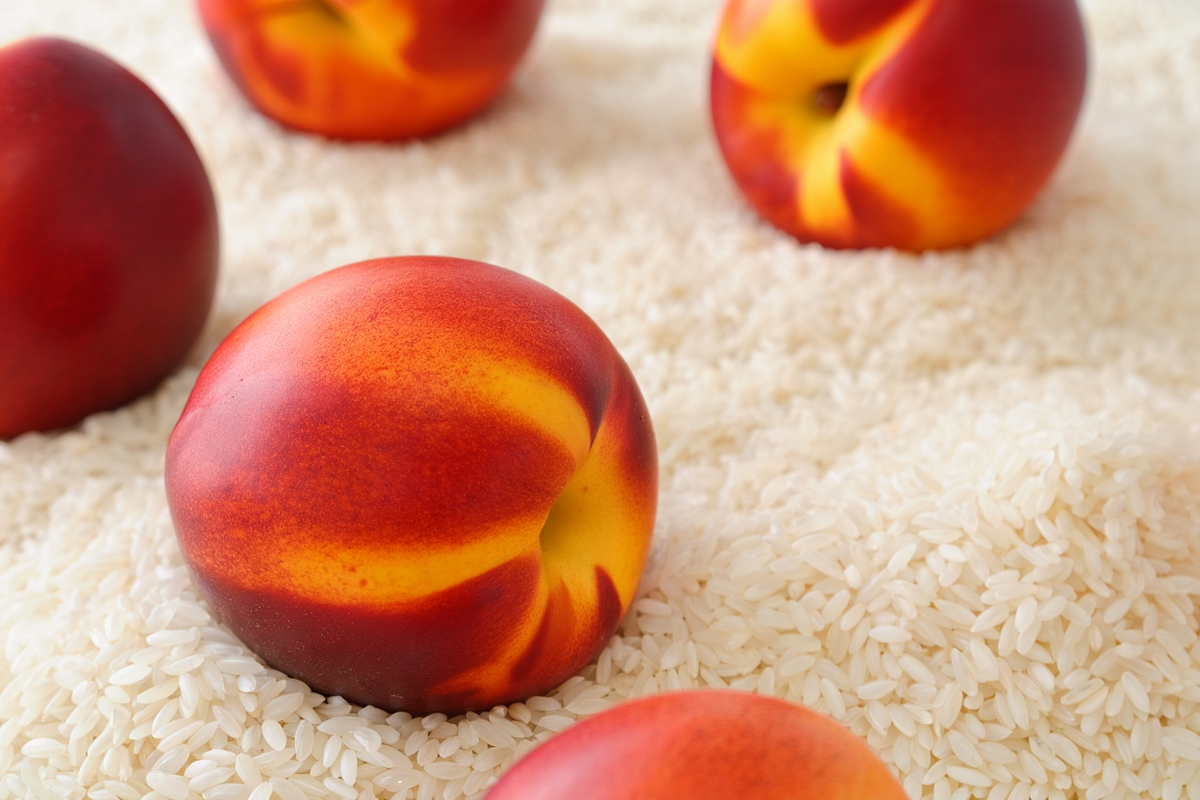    Фото: сгенерировано ИИ, источник: reve.art