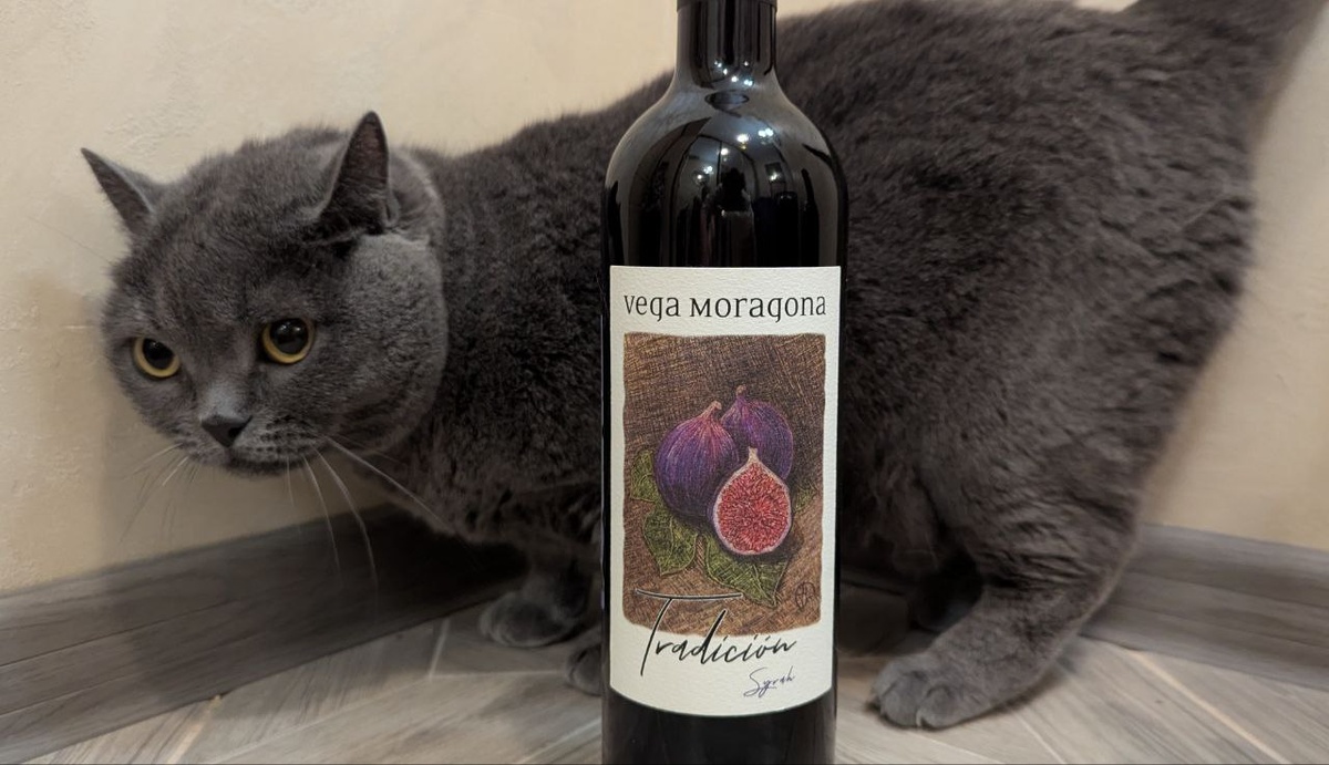 Vega Moragona Tradición Syrah