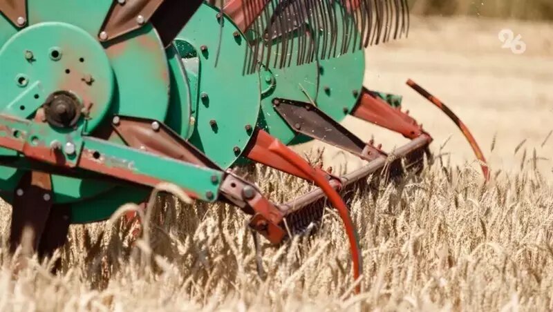      Фото: ИА «Победа26»