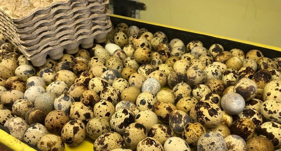    Министерство сельского хозяйства и продовольствия Мос