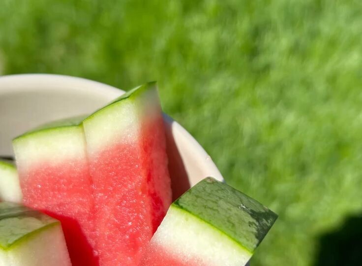 Арбуз — это вода? Чем он полезен для вашего организма