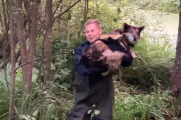     Артем Шмидков/Regions