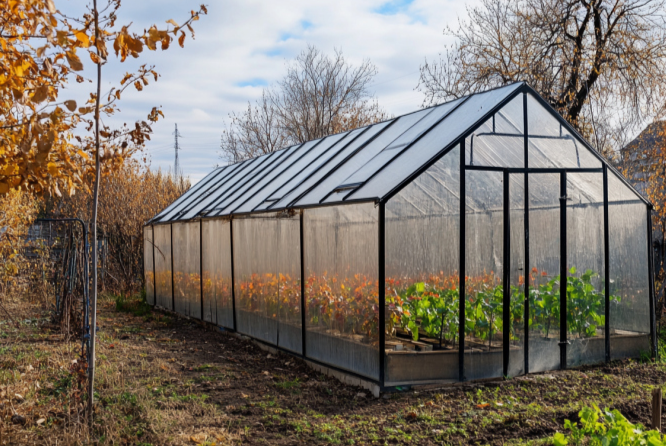 Научная основа осенней подготовки теплицы