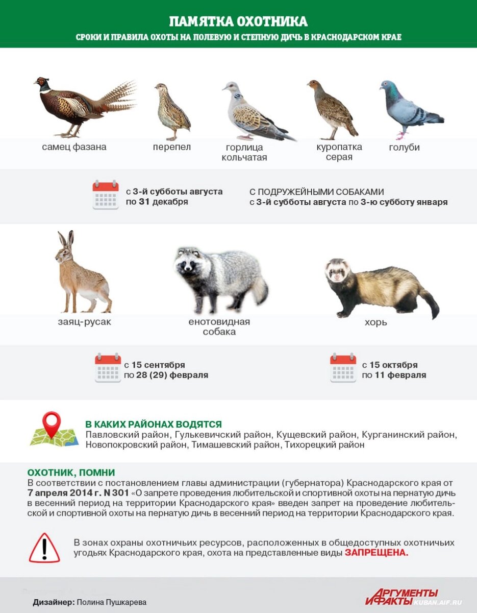    Кликните, чтобы развернуть. Фото: АиФ-Юг/ Полина Пушкарева