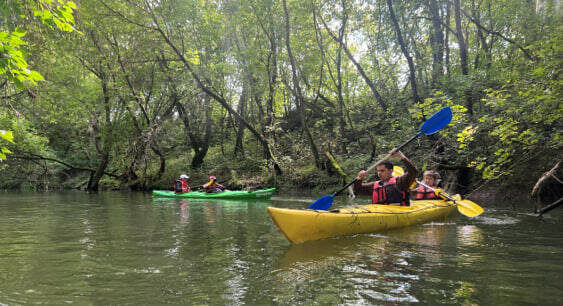 Фото предоставлено Министерством экологии и природных ресурсов Республики Татарстан