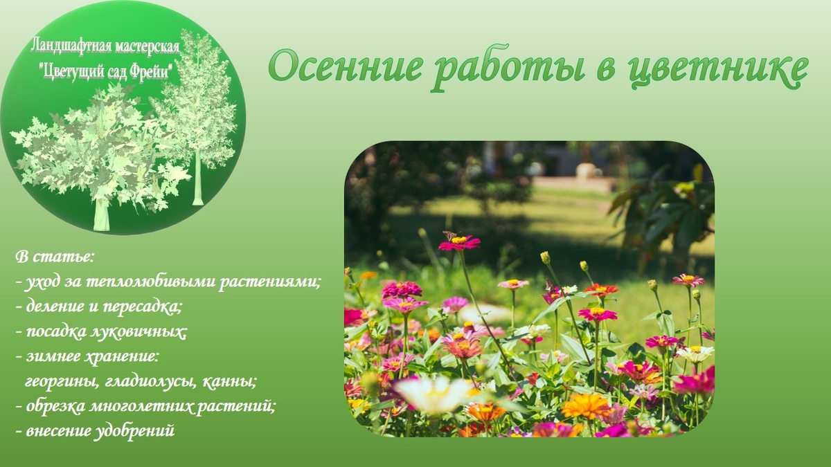 Фото автора с использованием изображения по Лицензии CC0.