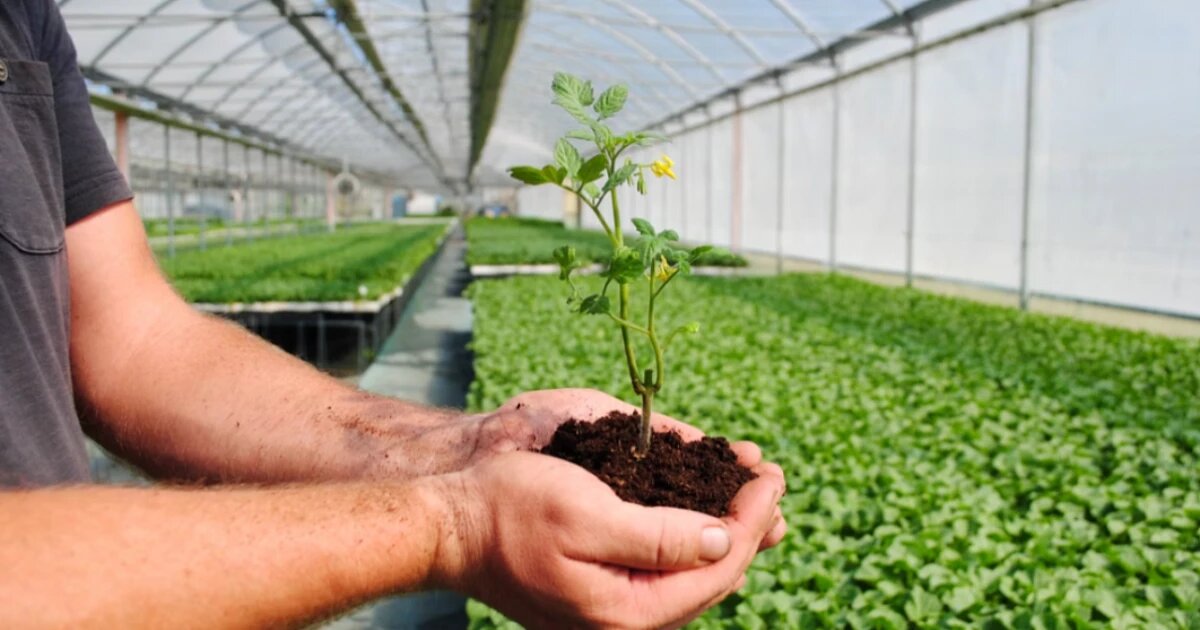 Фото: Pasquale Farro / unsplash