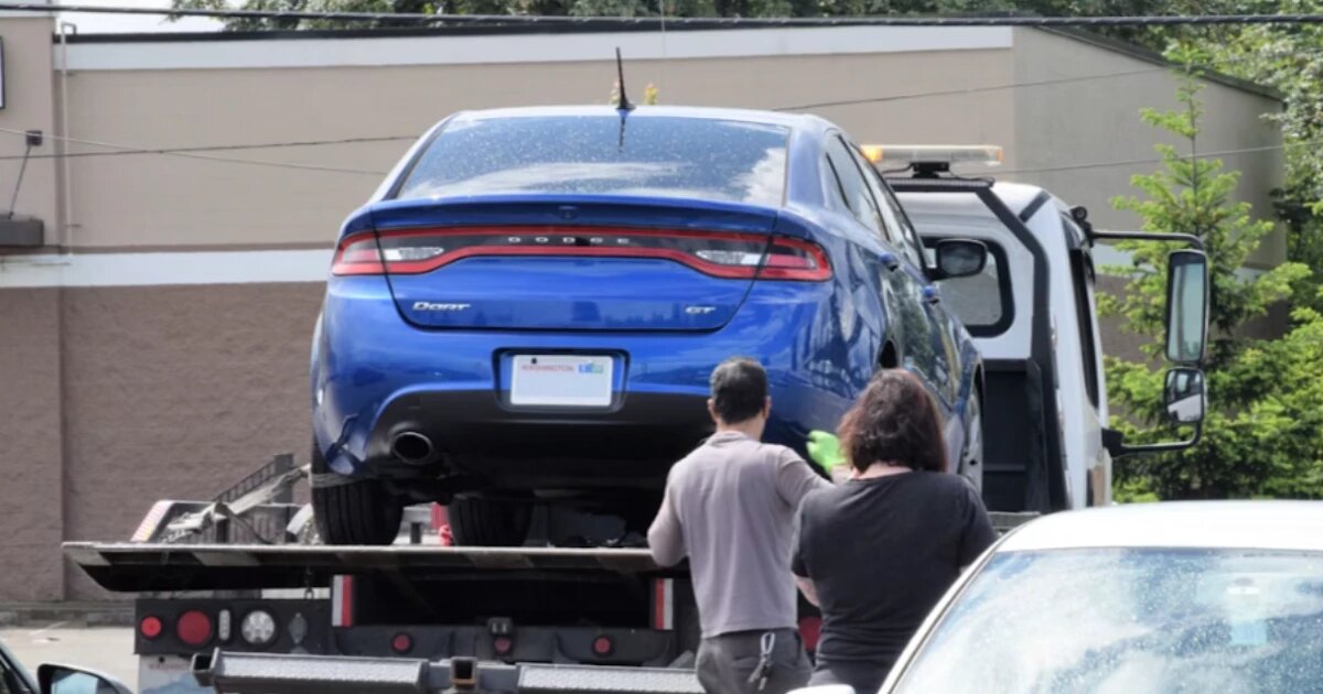 Фото: fr0ggy5 / Unsplash