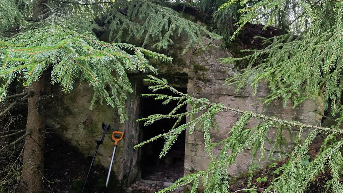 Старый финский подвал