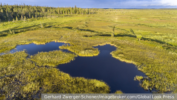     Фото: Gerhard Zwerger-Schoner/imagebroker.com/Global Look Press   
 Текст: Елизавета Шишкова