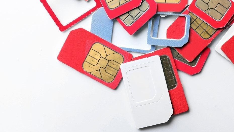    Автор фото: vostock-photo