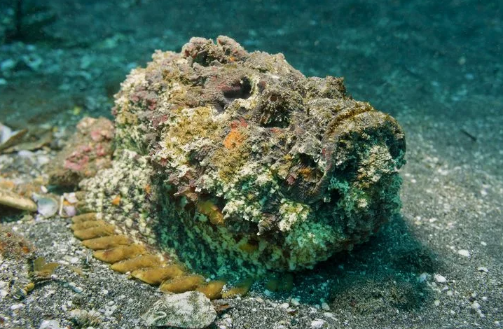 Поставь лайк!