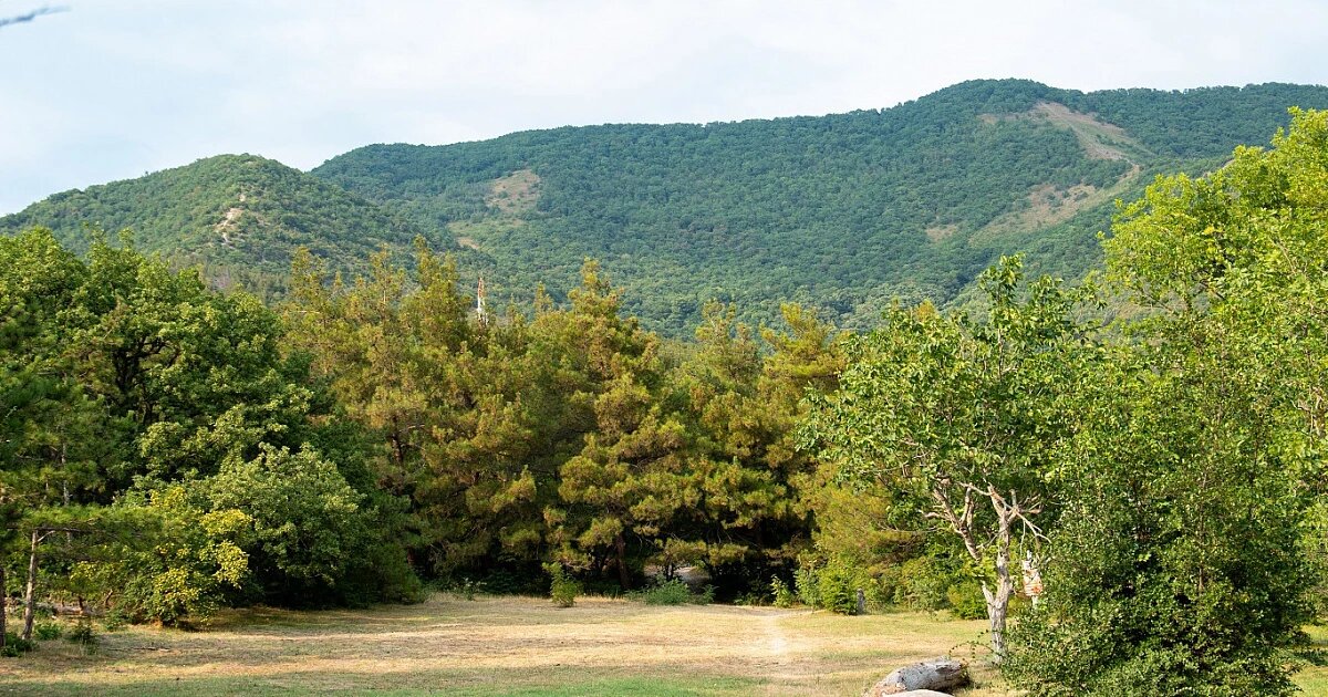 Фото: пресс-служба администрации Краснодарского края