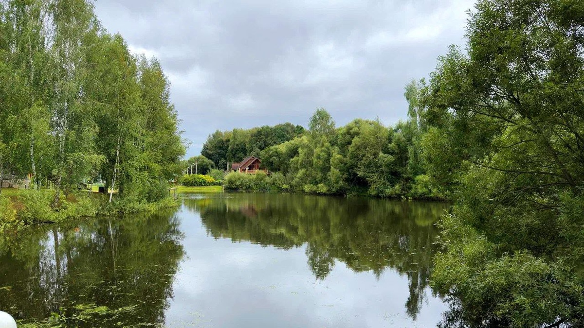 Дома у озера