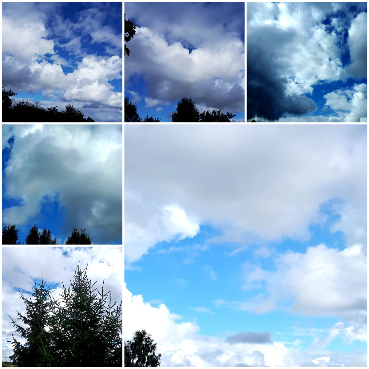 Коллаж автора 26.08.2025г.