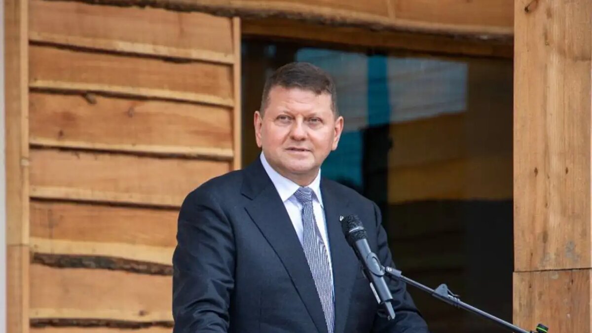    Бывший главком ВСУ Валерий Залужный.