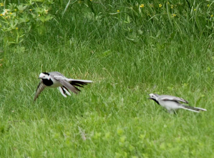 Поставь лайк!