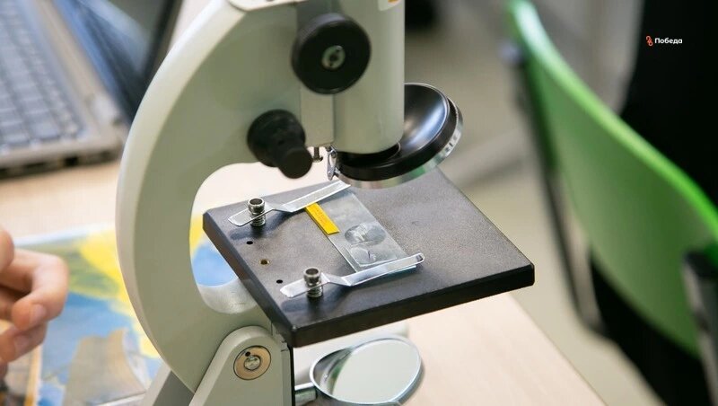    Новые агроклассы откроют в четырёх школа Кочубеевского округа Фото: Валерия Алтухова / / ИА «Победа26»