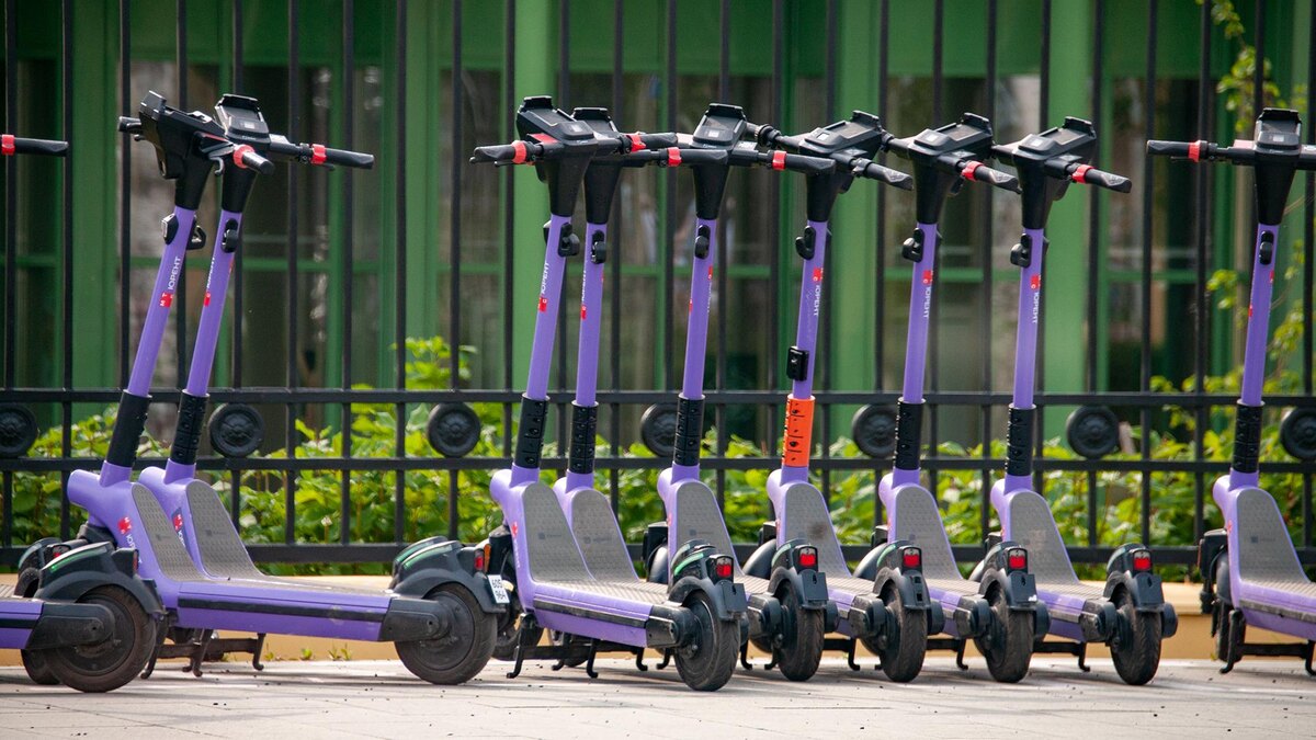    Фото: Svetlana Vozmilova/globallookpress.com