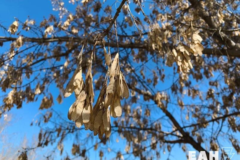    ЕАН. Архивное фото