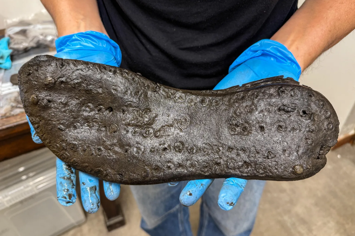 Находка в руках исследователя