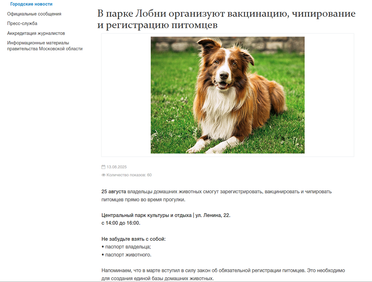 Мои люди, увидели объявление в интернете